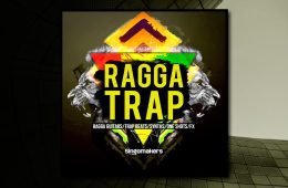 Singomakers Ragga Trap WAV-REX-PRESET