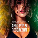 Diginoiz Afro Pop and Reggaeton 3 MIDI-WAV