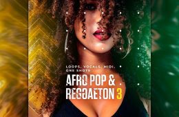 Diginoiz Afro Pop and Reggaeton 3 MIDI-WAV