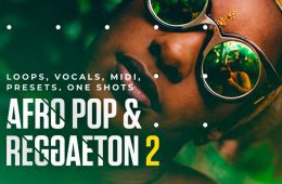 Diginoiz Afro Pop and Reggaeton 2 MIDI-WAV