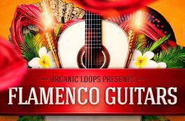 Organic Loops Flamenco Guitars WAV-RX2