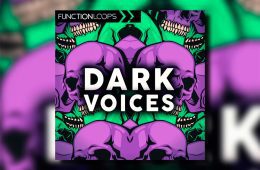 Function Loops Dark Voices WAV