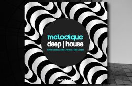 SAMPLES – Melodique Deep House WAV