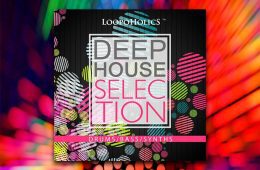 SAMPLES – Loopoholics Deep House Selection WAV