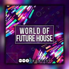 Audentity – World of Future House WAV