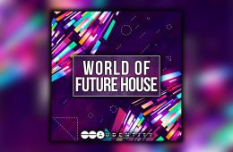 Audentity – World of Future House WAV