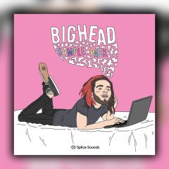 Splice Sounds – Bighead Sample Pack WAV