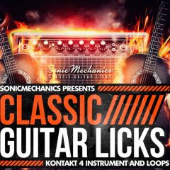 Classic Guitar Licks MULTIFORMAT