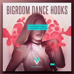 Bigroom Dance Hooks WAV-REX2