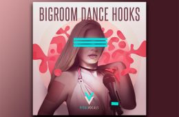 Bigroom Dance Hooks WAV-REX2