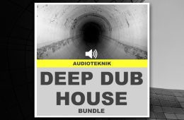 Audioteknik Deep Dub House WAV