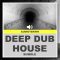 Audioteknik Deep Dub House WAV