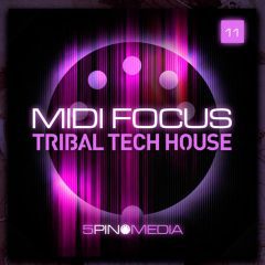 MIDI Focus Tribal Tech House MULTIFORMAT