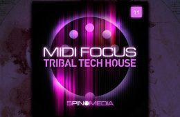 MIDI Focus Tribal Tech House MULTIFORMAT