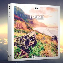 Boom Library Hawaii WAV