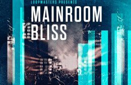 Loopmasters Mainroom Bliss MULTI