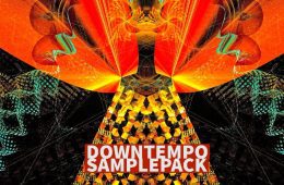 Audentity Downtempo Samplepack WAV