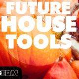 BigEDM Future House Tools MULTi