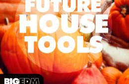 BigEDM Future House Tools MULTIFORMAT