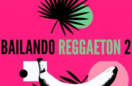 Bailando Reggaeton 2 WAV-PRESET