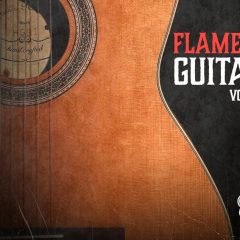 VGS Flamenco Guitars Vol1-2 WAV