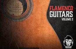 VGS Flamenco Guitars Vol1-2 WAV