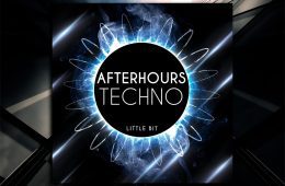 Little Bit Afterhours Techno WAV