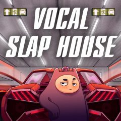 Dropgun Samples Vocal Slap House WAV