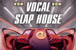 Dropgun Samples Vocal Slap House WAV