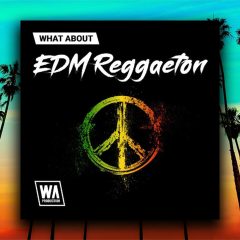 WA EDM Reggaeton MIDI-WAV