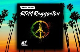 WA EDM Reggaeton MIDI-WAV