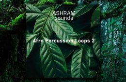 ASHRAM Afro Percussion Loops 2 WAV