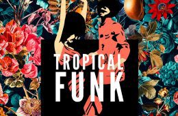 Tropical Funk by Basement Freaks WAV