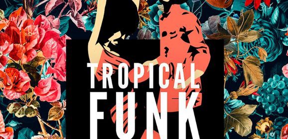 Tropical Funk by Basement Freaks WAV