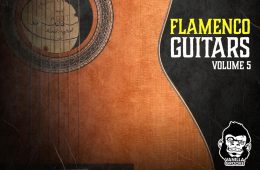 VGS Flamenco Guitars Vol-5 WAV