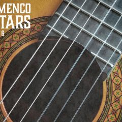 VGS Flamenco Guitars Vol-6 WAV