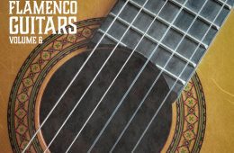 VGS Flamenco Guitars Vol-6 WAV