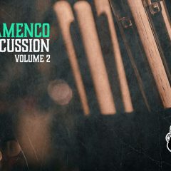 VGS Flamenco Percussion Vol-2 WAV