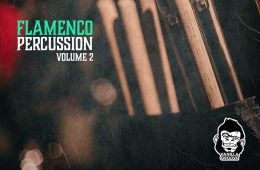 VGS Flamenco Percussion Vol-2 WAV