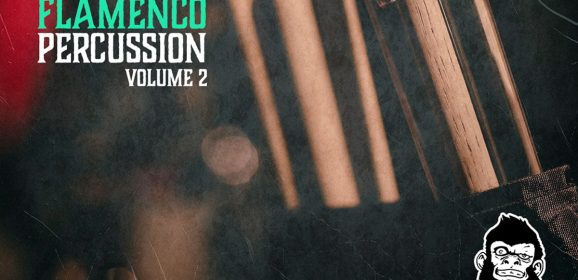 VGS Flamenco Percussion Vol-2 WAV