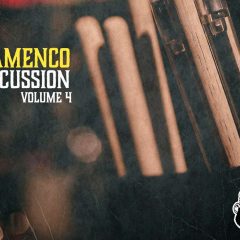 VGS Flamenco Percussion Vol-4 WAV