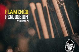 VGS Flamenco Percussion Vol-4 WAV