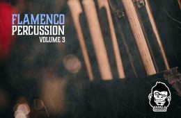 VGS Flamenco Percussion Vol-3 WAV