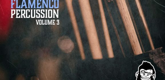 VGS Flamenco Percussion Vol-3 WAV