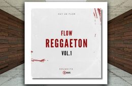 JH Beats Flow Reggaeton VOL-1 WAV