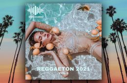 SevenSounds Reggaeton 2021 Vol2 MIDI-WAV