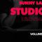 Sunny Lax Studio Essentials Volume 2