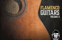 VGS Flamenco Guitars Vol-3 WAV