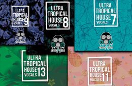 Ultra Tropical House Vocals Bundle 2