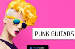 Pulsed Records Punk Guitars WAV